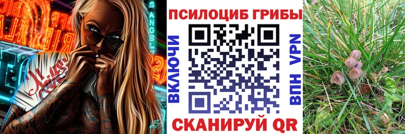 shop наркотические препараты  Адыгейск  Псилоцибиновые грибы Magic Shrooms 